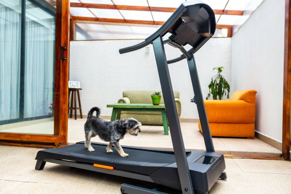 Cost of Treadmill Installation in Reston