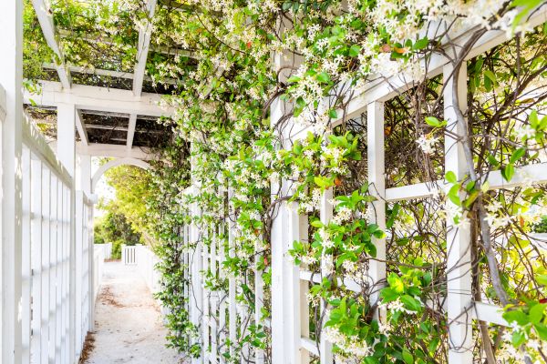Cost of Trellis Repair in Reston