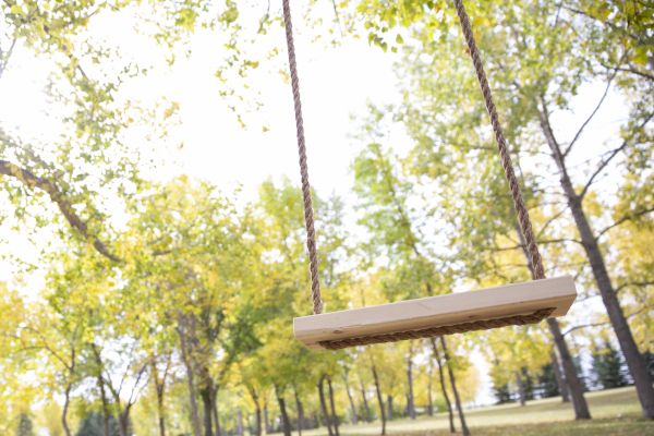 Cost of Swing Installation in Reston