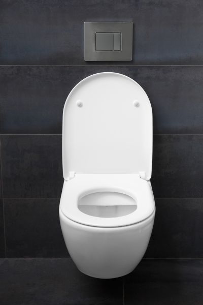 Cost of Toilet Lid Installation in Reston