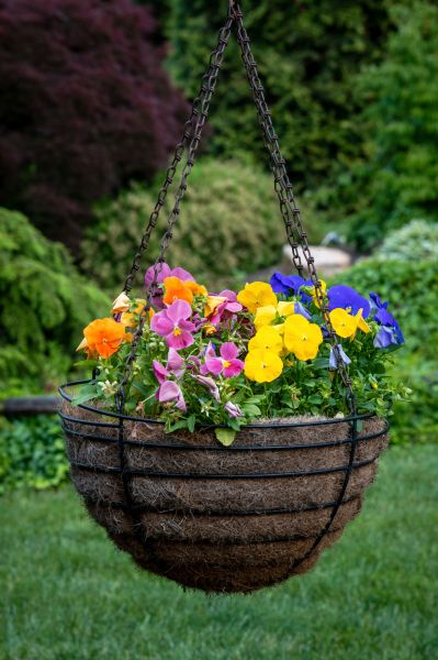 Cost of Hanging Basket Installation in Reston