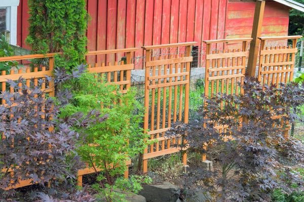 Wood Trellis Mounting in Reston