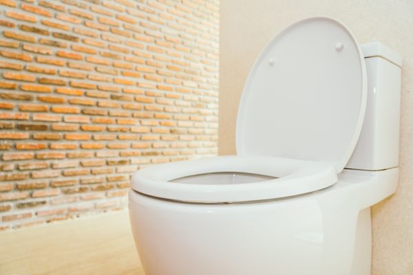 Cost of Toilet Seat Repair in Reston