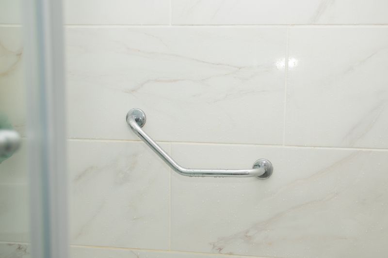 Toilet Handrail Installation